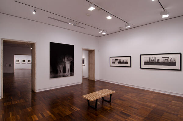Installation view of Observed: