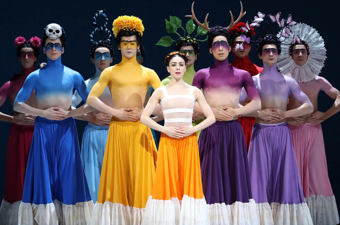 FONDO DE COLABORACIÓN ARTÍSTICA Y CULTURAL PAÍSES BAJOS-MÉXICO: ENLACE CREATIVO 2026