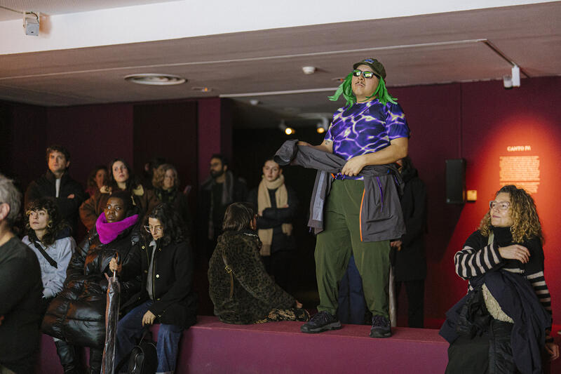 TBA21 BUSCA ARTISTAS PARA ACTIVAR UNA MUESTRA DE SEBA CALFUQUEO