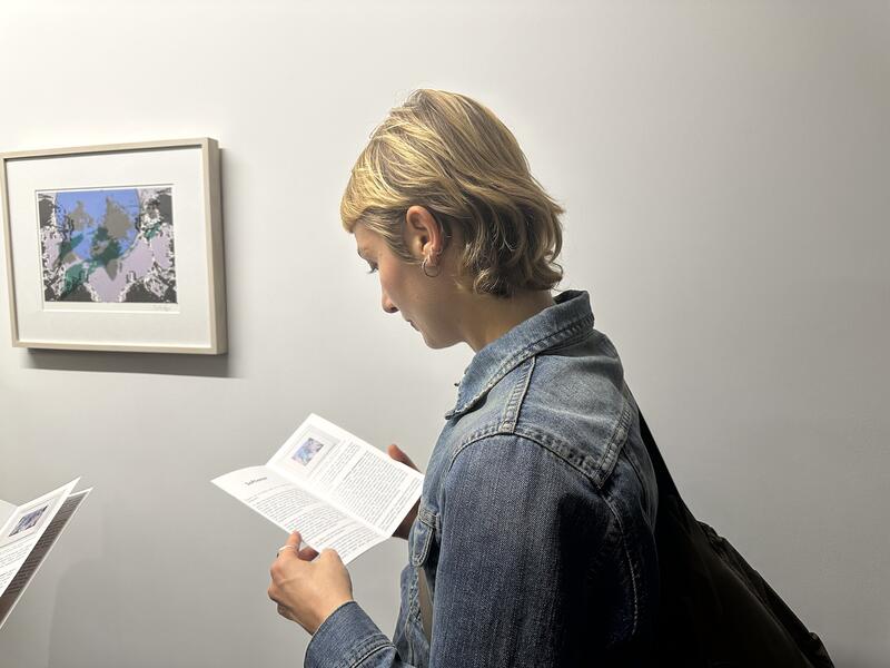 ÚLTIMOS DÍAS PARA PROPONER EXPOSICIONES A APEXART EN NUEVA YORK