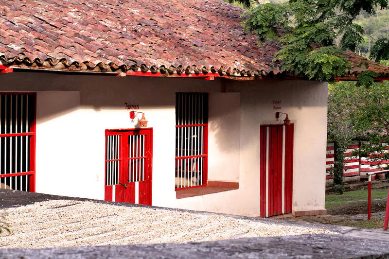 UNA BECA COMPLETA PARA ARTISTAS COLOMBIANOS: RESIDENCIA-MICRO A ISLA