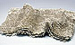 REVIEWS - CERAMICS IN CELEBRATION