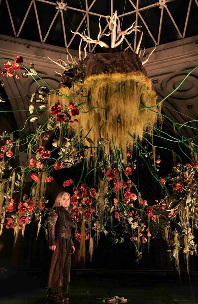 DE FLORAS Y FIERAS, EL REINO DE NICOLA