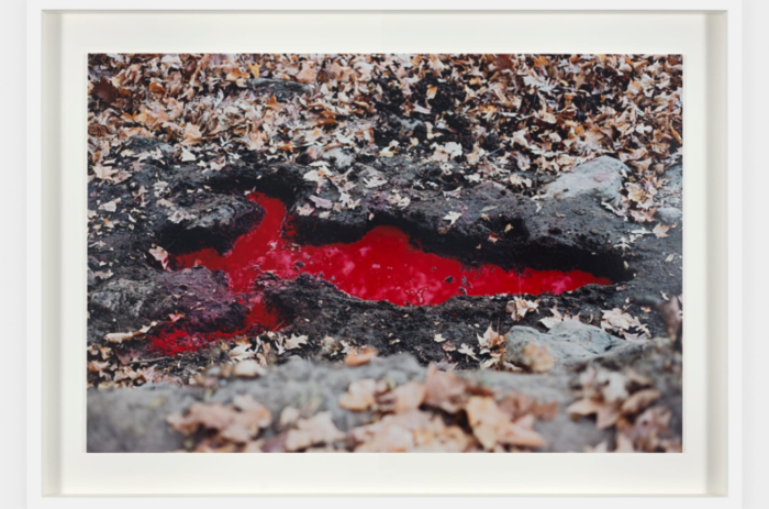 ANA MENDIETA, PROTAGONISTA DE LA NUEVA EXPOSICIÓN DE TRIBECA 