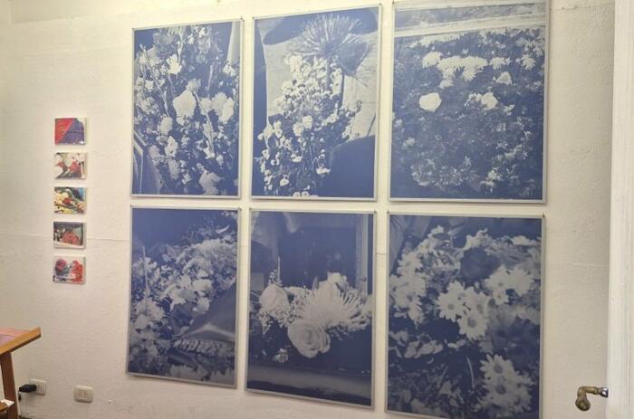 ARDOR PERLA: LA VISIÓN HERIDA COMO ARCHIVO