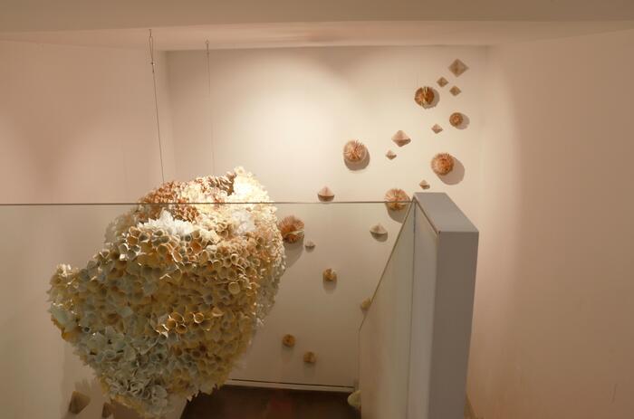 DEL CONOCIMIENTO Y LO ORGÁNICO: NEBRASKA FLORES EN PONCE+ROBLES