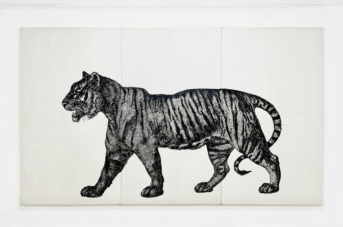 EDWIN MONSALVE: LA HUELLA EN EL PROCESO DE TRANSFORMACIÓN, EN FERNANDO PRADILLA