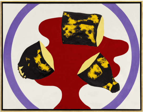 EL CAMPO DE BATALLA DE ANTONIO HENRIQUE AMARAL: BANANAS, POLÍTICA Y MOVIMIENTO 