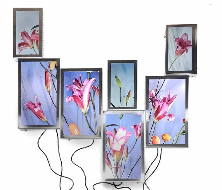 EL JARDÍN-CYBORG DE JULIETA TARRAUBELLA EN MIAMI