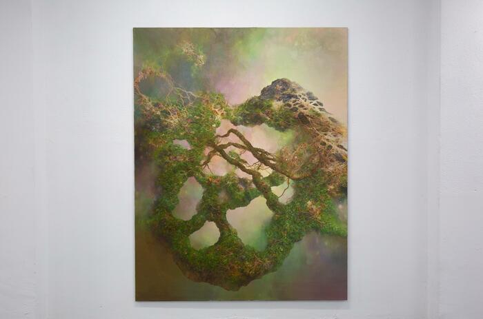 IGARTUA Y LA EXPLORACIÓN DE LA NATURALEZA COMO CUERPO VIVO