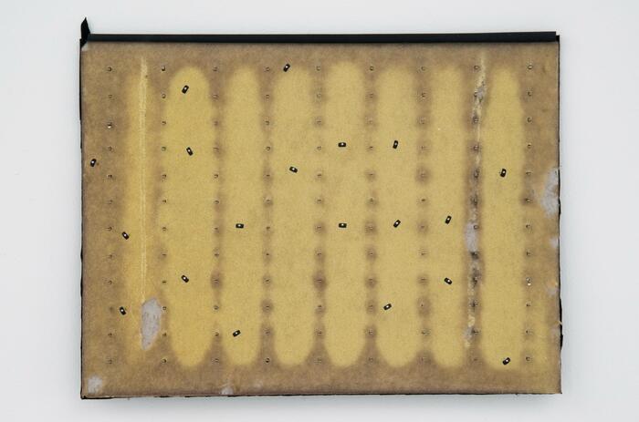 RENEGOCIAR LA PERCEPCIÓN, UNA MUESTRA COLECTIVA EN CIUDAD DE MÉXICO