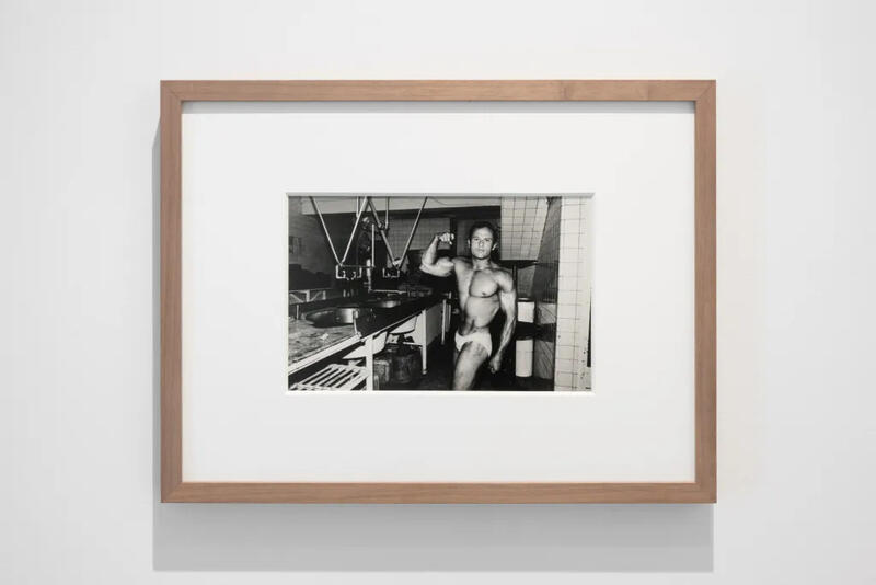 UNA DISECCIÓN DE LOS APOLOS DE CRISTETO, EN MEMORIA