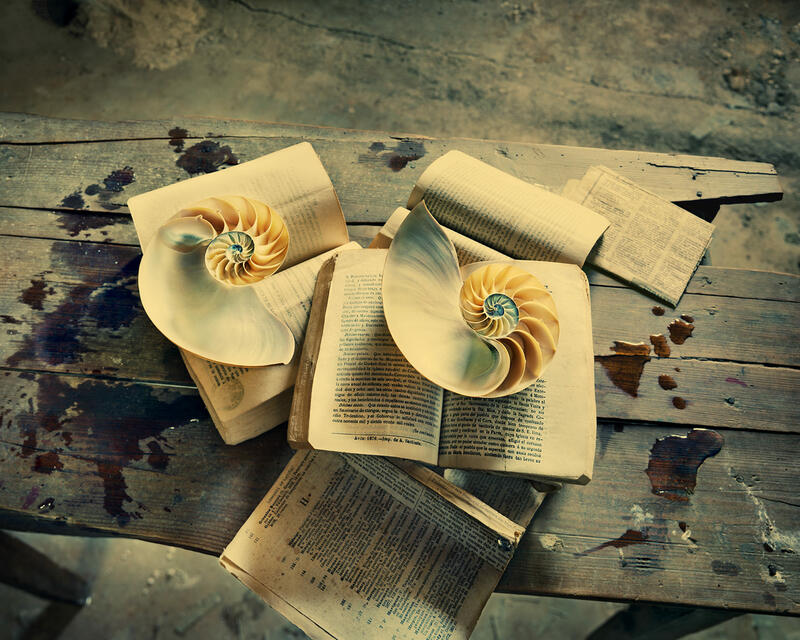 ÁUREA. Castro Prieto. El viejo saber, 2018