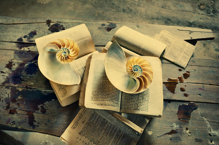 ÁUREA. Castro Prieto. El viejo saber, 2018