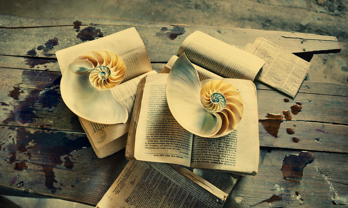 ÁUREA. Castro Prieto. El viejo saber, 2018