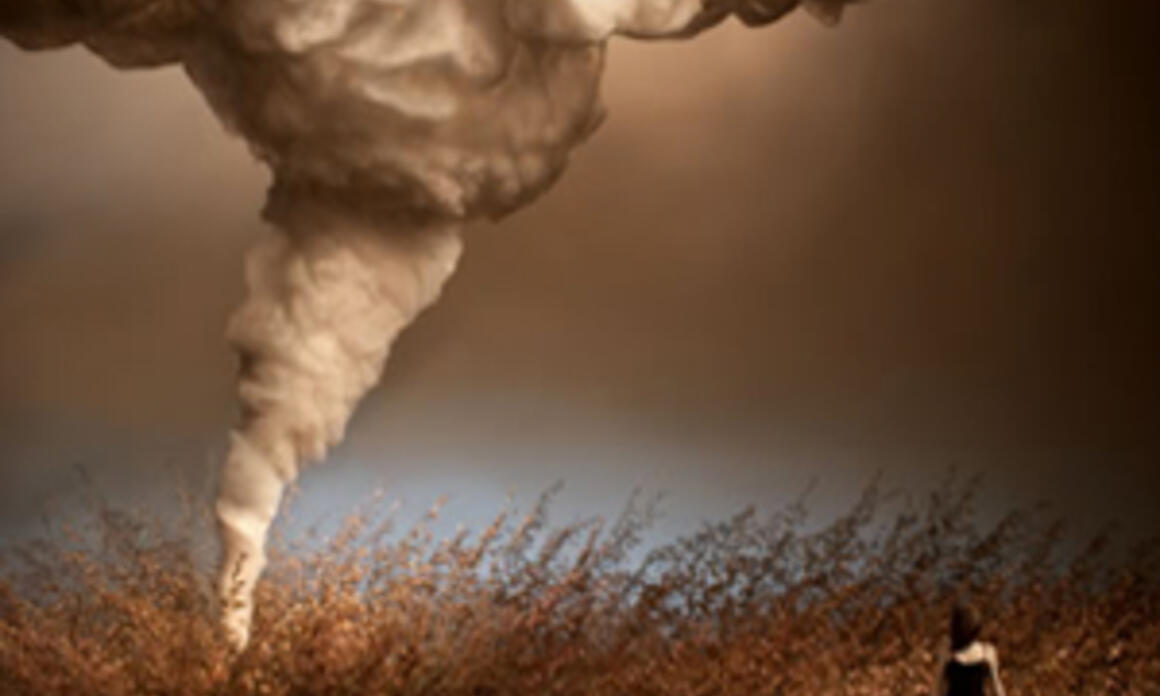 Pinta 2012 anuncia nuevas expansiones en su Sexta Edición