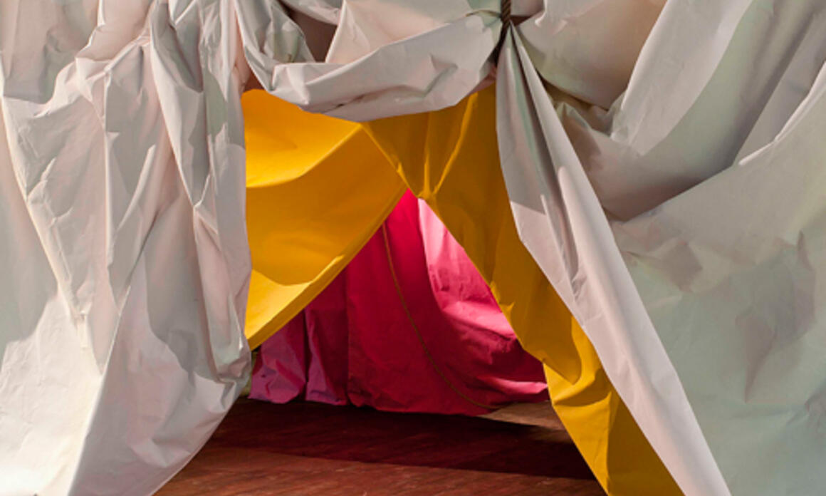 Comenzó La Décimo Primera Bienal de Lyon 