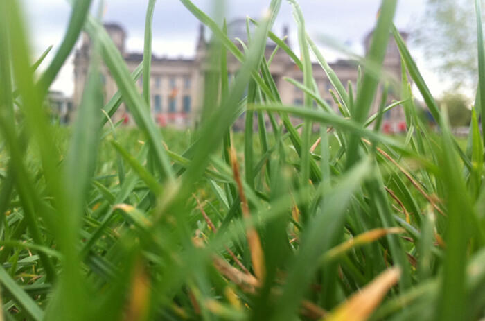 _Filogénesis de la generosidad_: una exhibición en torno a esta virtud en Prinzessinnengarten,  Berlín