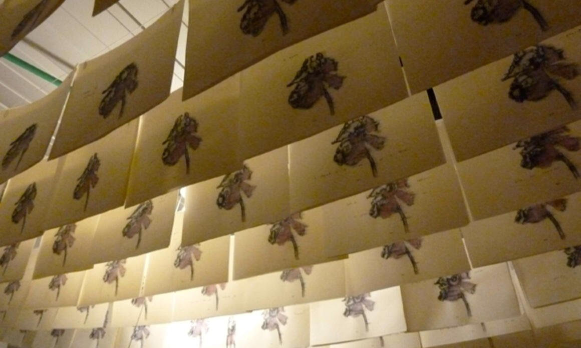 _Sueños de restitución_  de Javier Bernal-Arévalo, en FLORA: ars + natura, Bogotá