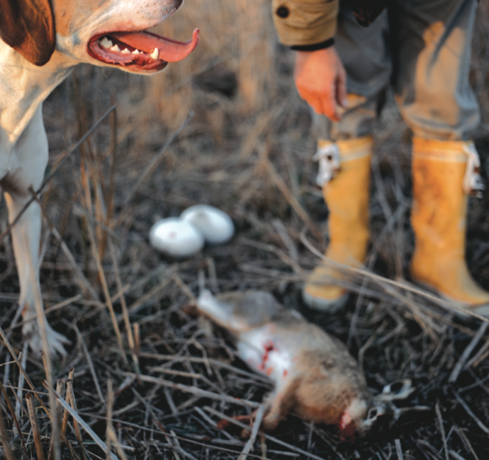 From the series “On The Sixth Day” / De la serie “En el sexto día”, 1996-2004. Ostrich eggs found while hunting/Huevos de avestruz encontrados durante una cacería. Courtesy/Cortesía Yossi Milo Gallery, N.Y.