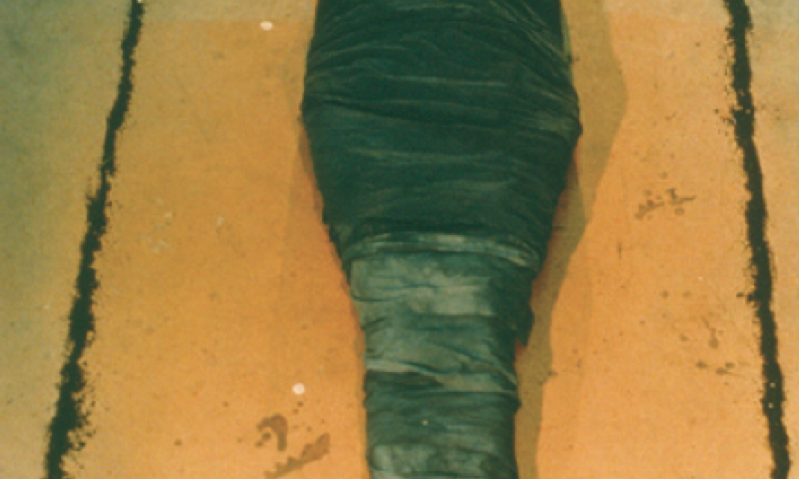 Untitled (El Ixchell Negro), 1977 Lifetime color photograph mounted on board, 20 x 13 1/4 in. © The Estate of Ana Mendieta Collection Courtesy Galerie Lelong, New York. Sin título (El Ixchell Negro), 1977. Fotografía de la artista montada sobre panel de madera, 50,8 x 33,7 cm Copyright de la Colección Sucesión Ana Mendieta. Cortesía de Galérie Lelong, Nueva York.