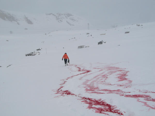 Las huellas fugaces de Renata Padovan