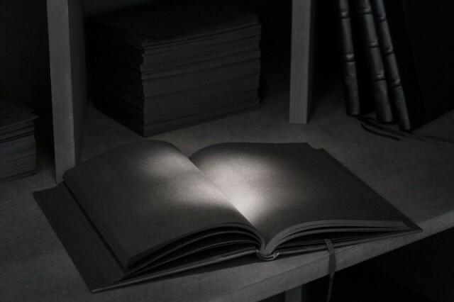 Braz Cubas, 2012, Detail. 