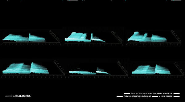Cinco variaciones de circunstancias fónicas y una pausa, 2012