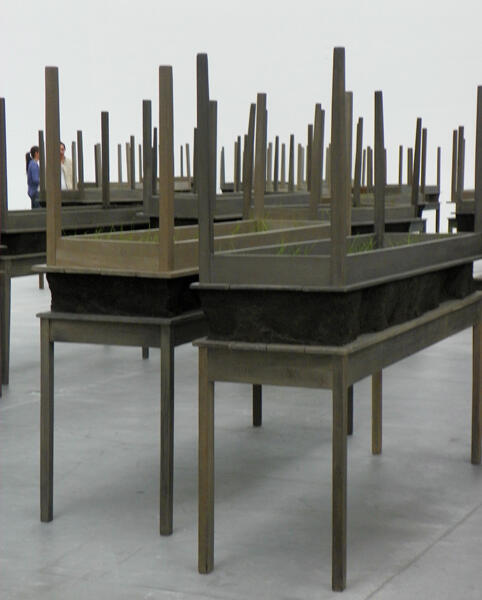 Doris Salcedo 