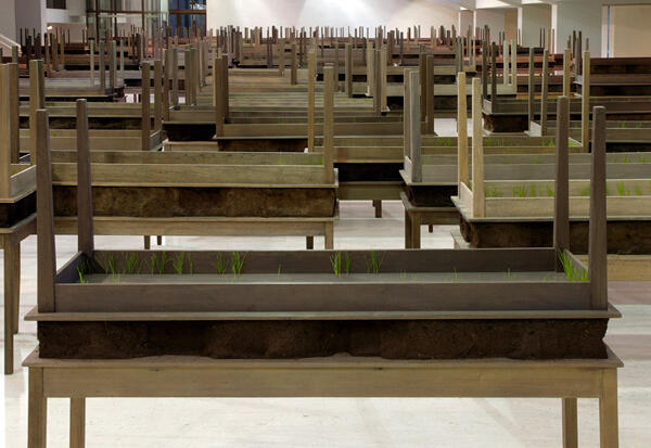 Doris Salcedo