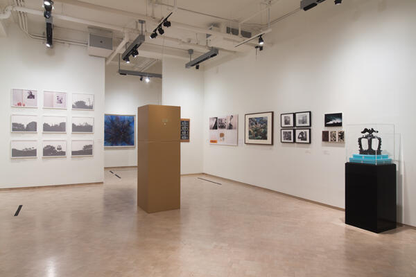 Caribbean Crossroads 