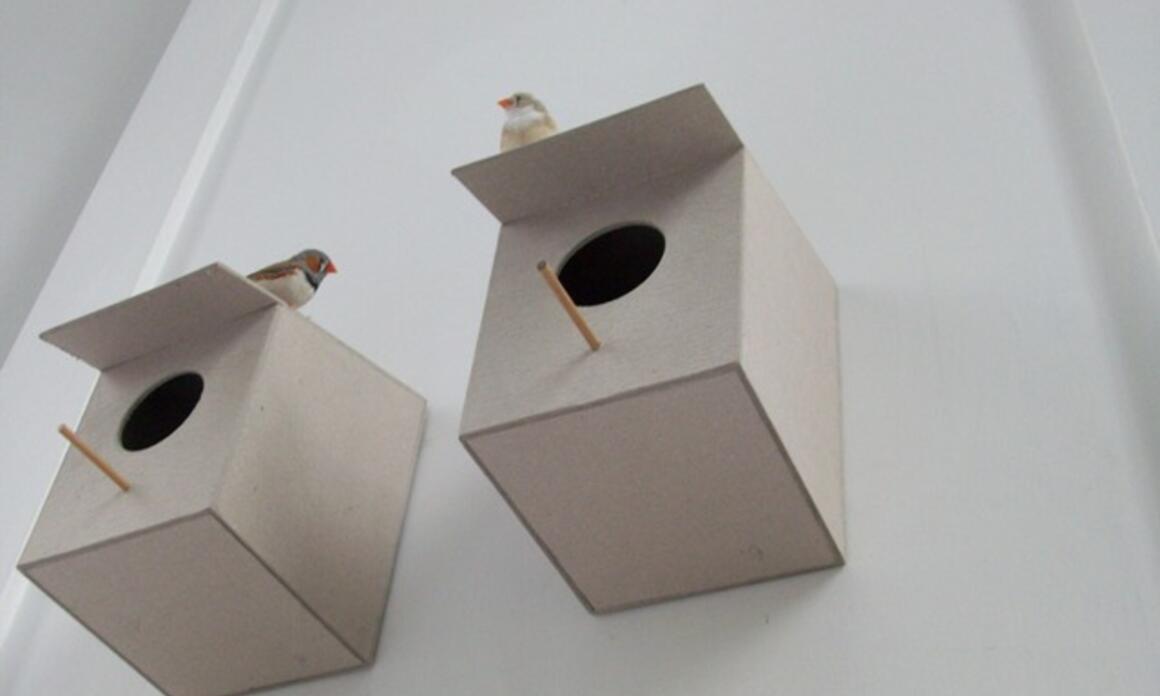 "El 52" Remains, 2010 Carlos Bonil (en colaboración con La Central, Colombia) y  el proyecto Esperanza, del colectivo Viernes (Moris and Fernando Carabajal)