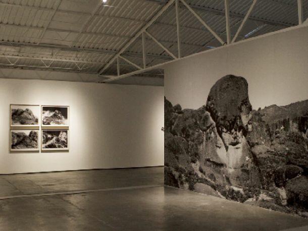 François Bucher redescubre al arqueólogo Daniel Ruzo en la Biennale di Venezia 55