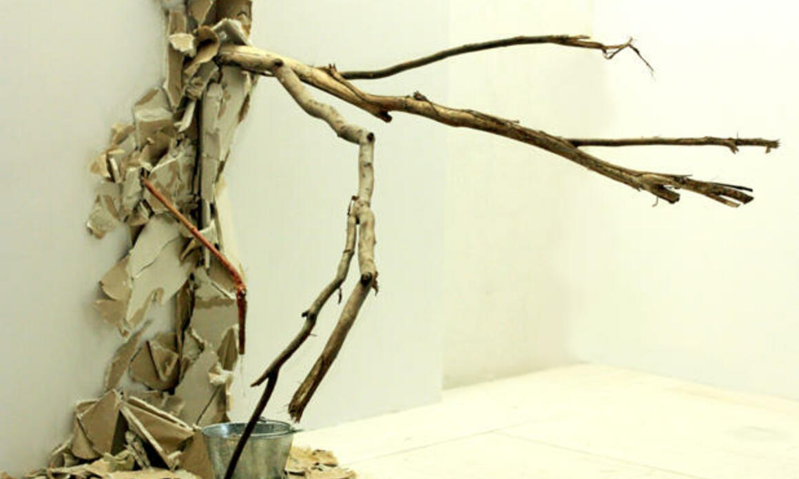 Título: “El Salidero”   Año: 2010  Materiales: Ramas de árbol, tubo de PVC, planchas de yeso, recipiente metálico, mangueras plasticas  y bomba de agua  Dimensiones: 98" x 95" x 98"