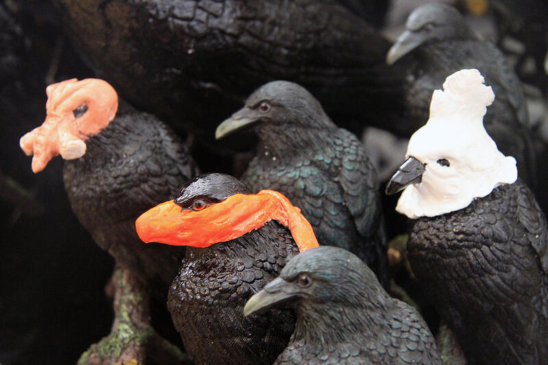 Manuela Vierra-Gallo