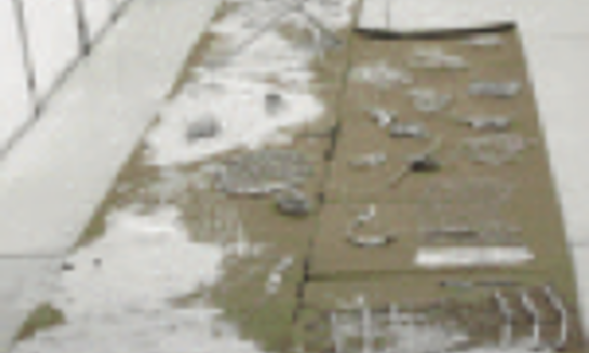 Ocular Espectacular II (líneas), 2009. 31 sculptures on cardboard. String, wood, patching plaster, plaster, glue and cardboard, 295 x 96.4 x 18.8 in. 31esculturas sobre cartón. Cordel, madera, pasta muro, yeso, cola fría y cartón, 750 x 245 x 48 cm.