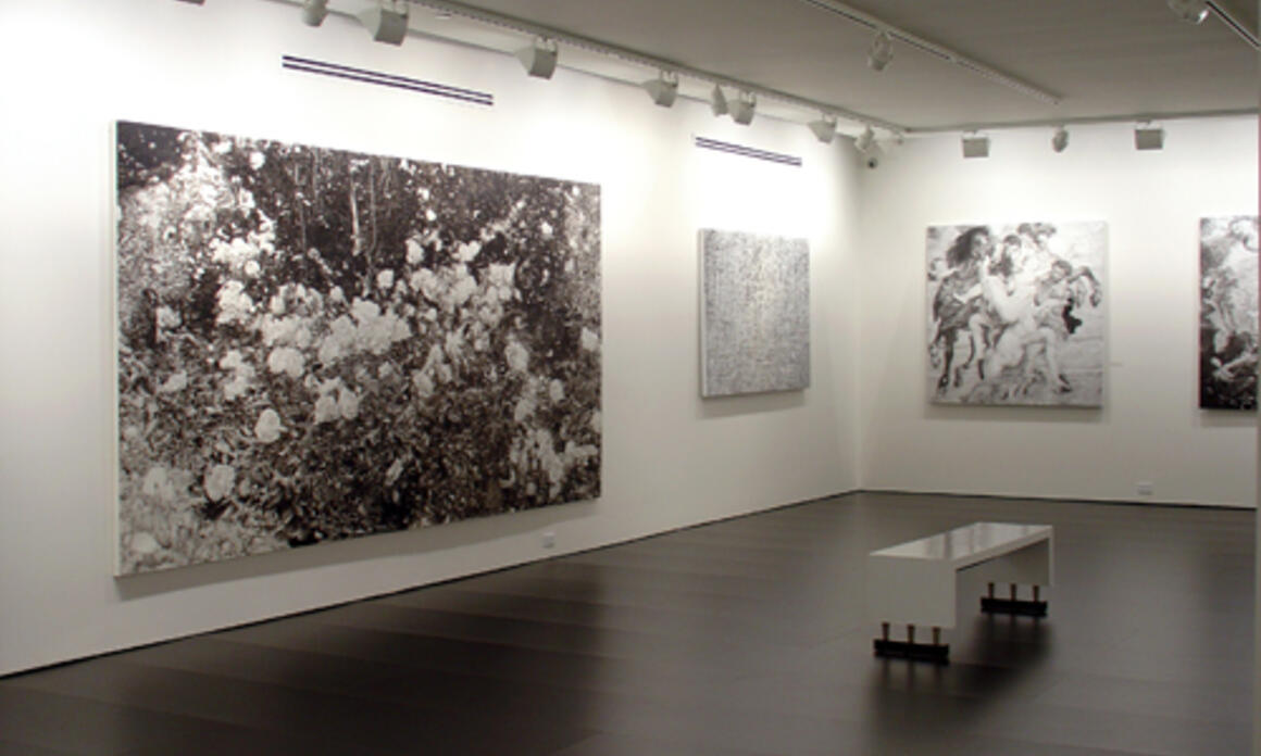 General view of the exhibition. Courtesy Nohra Haime Gallery Vista general de la exposición. Cortesía de Galería Nohra Haime.