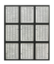 Memorial (detail), 1999. Pigment print, 195 pieces, 11.7 x 9.4 in. each. Memorial (detalle), 1999. Impresión de tinta, 195 piezas de 29,8 x 24 cm. c/u