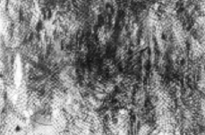 Palimpsesto, 2010. Graphite and rubber on paper. Grafito y goma sobre papel. Courtesy/Cortesía Dot Fifty One, Miami. Palimpsesto, 2010. Graphite and rubber on paper. Grafito y goma sobre papel. Courtesy/Cortesía Dot Fifty One, Miami.