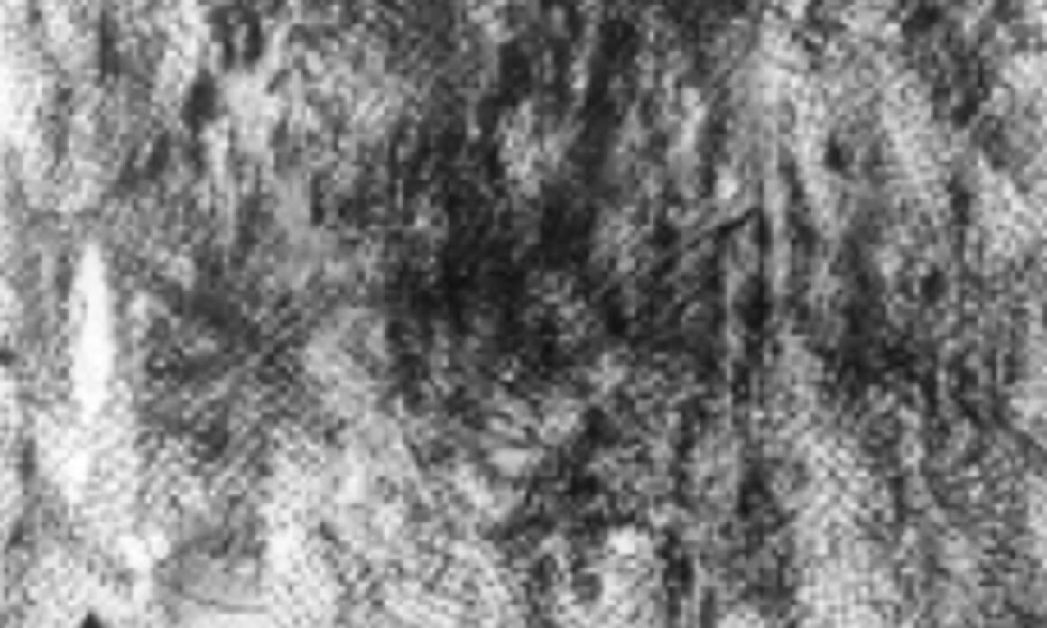 Palimpsesto, 2010. Graphite and rubber on paper. Grafito y goma sobre papel. Courtesy/Cortesía Dot Fifty One, Miami.