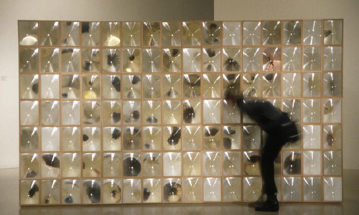Esperanza Mayobre Colirio (Eyedrop), 2004. Mixed Media. 7ft. x 12ft. x 24in. Installation view. Técnica mixta, 213,3 x 365,7 x 61 cm. Vista de La instalación.