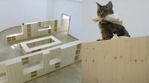 La experiencia psico-geográfica de Venecia*