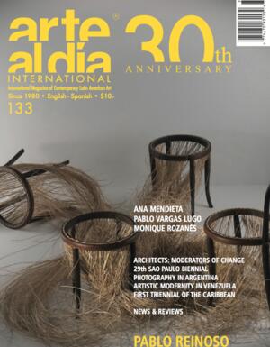 Pablo Reinoso. Chair, furry ensemble/Silla, conjunto peludo, 2006. Wood/madera.