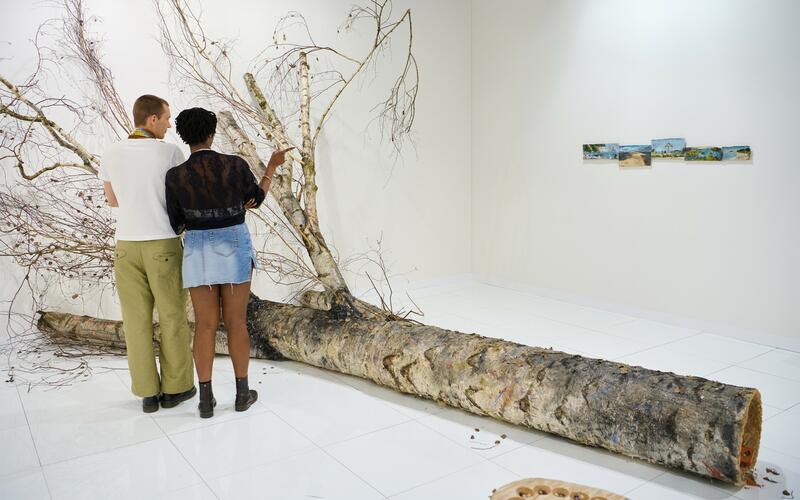 EXPANSIÓN Y BRANDING DE LAS FERIAS DE ARTE: DE EVENTOS LOCALES A POTENCIAS GLOBALES