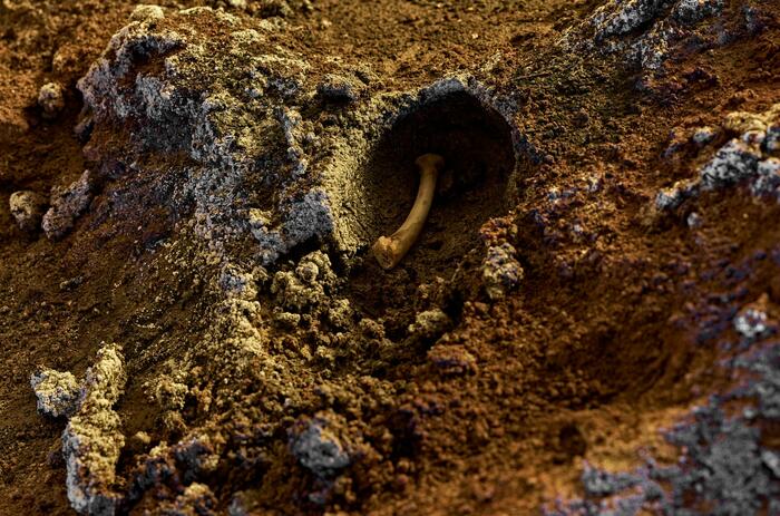 ADRIÁN VILLAR ROJAS TRANSFORMA EL ASPEN ART MUSEUM EN UNA CUEVA GEOLÓGICA Y MITOLÓGICA