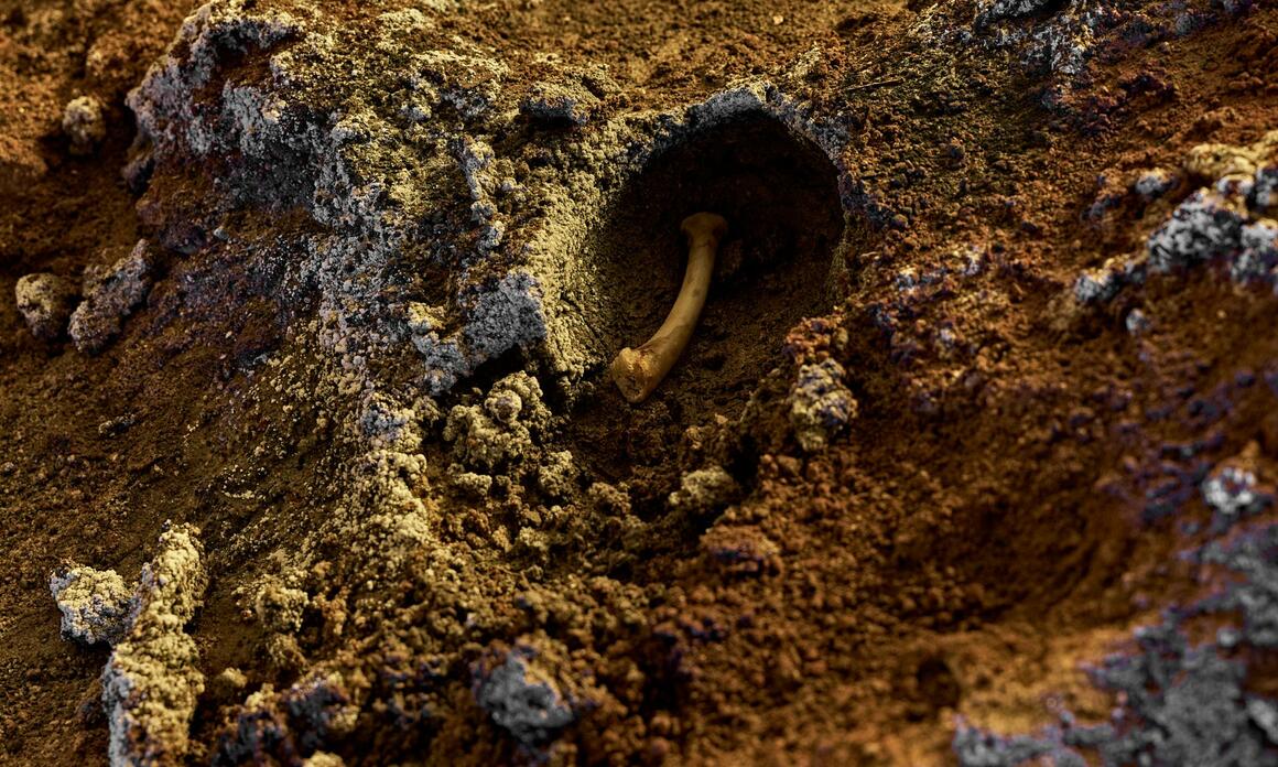 ADRIÁN VILLAR ROJAS TRANSFORMA EL ASPEN ART MUSEUM EN UNA CUEVA GEOLÓGICA Y MITOLÓGICA