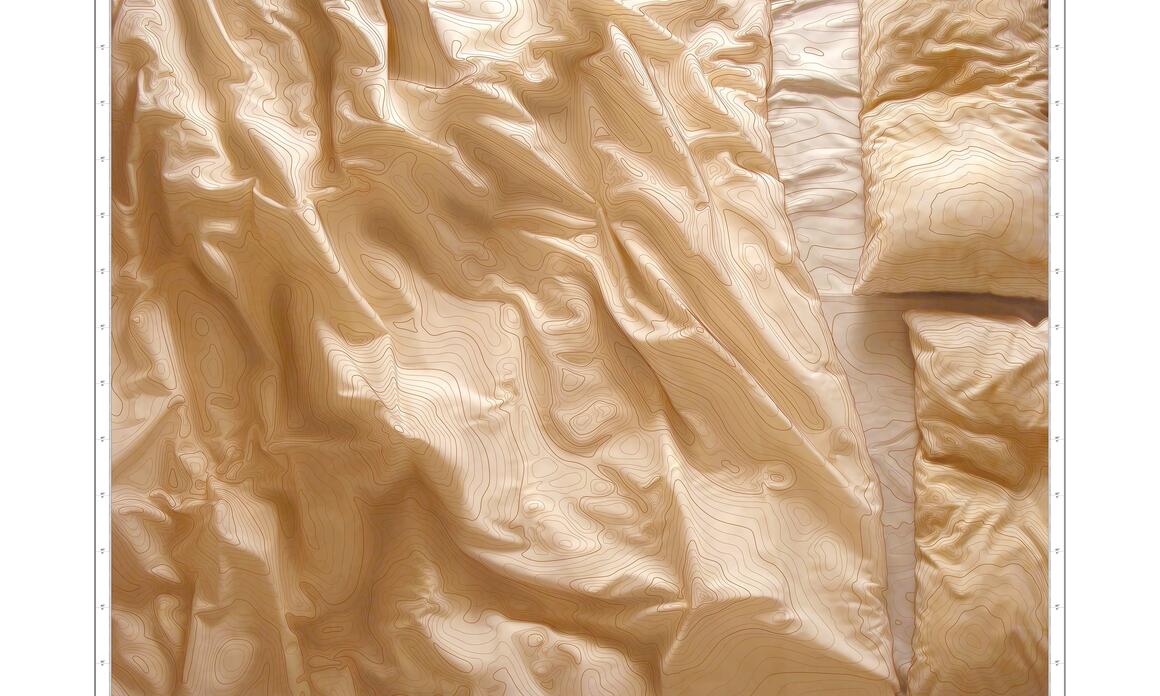 ANINAT GALERÍA PRESENTA FRONTERAS NATURALES DE MATEO MATÉ