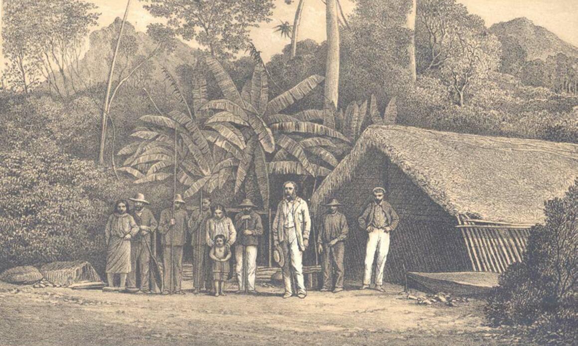 ANTONIO RAIMONDI Y LA REPRESENTACIÓN DE LA NATURALEZA EN EL PERÚ
