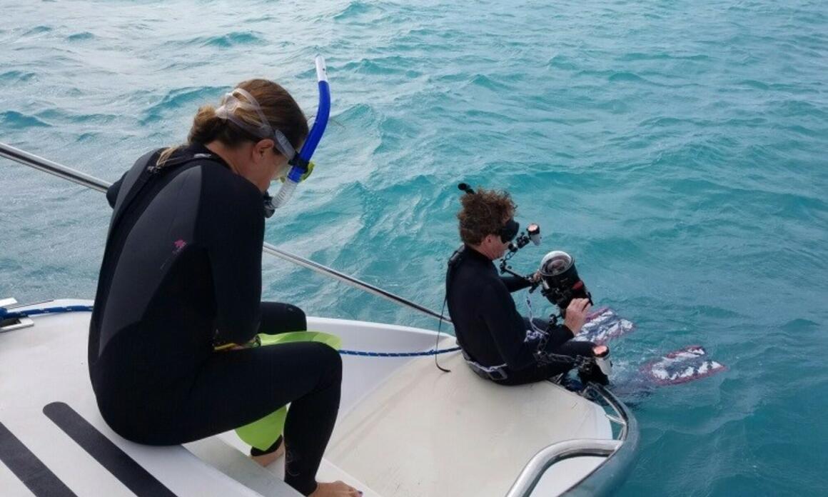 ArtCenter / Sur de la Florida inició el proyecto ARTSail en Maimi