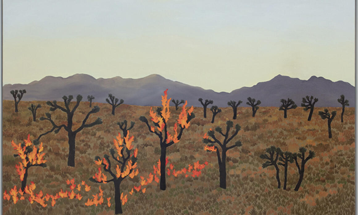ARTE Y CAMBIO CLIMÁTICO